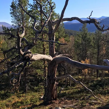 Ξενοδοχείο Lemonsjo Fjellstue Og Hyttegrend *