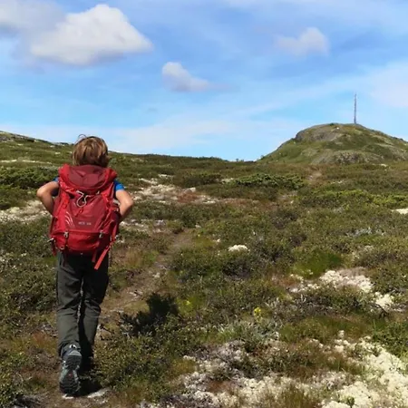 Lemonsjo Fjellstue Og Hyttegrend Ξενοδοχείο Randsverk