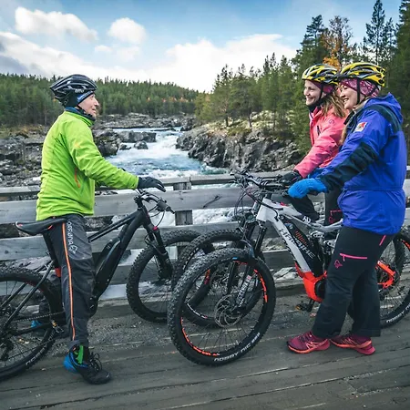 Lemonsjo Fjellstue Og Hyttegrend *