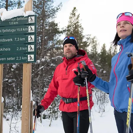 Lemonsjo Fjellstue Og Hyttegrend Randsverk