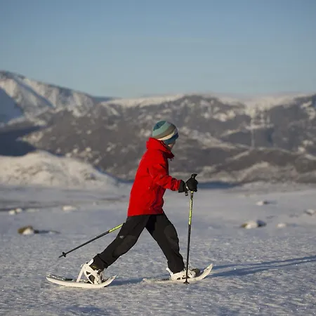 Lemonsjo Fjellstue Og Hyttegrend *