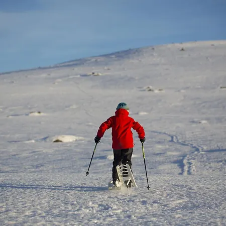 Lemonsjo Fjellstue Og Hyttegrend