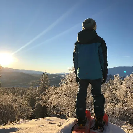 Lemonsjo Fjellstue Og Hyttegrend Ξενοδοχείο *