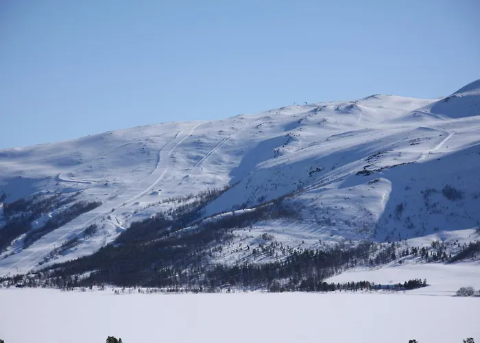 Hotel Lemonsjo Fjellstue Og Hyttegrend *