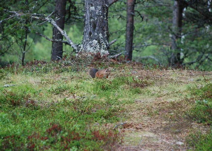 Hotel Lemonsjo Fjellstue Og Hyttegrend