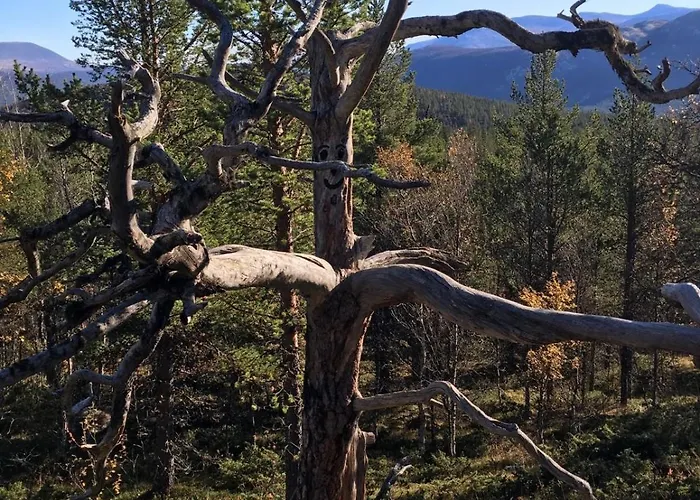 Отель Lemonsjo Fjellstue Og Hyttegrend *