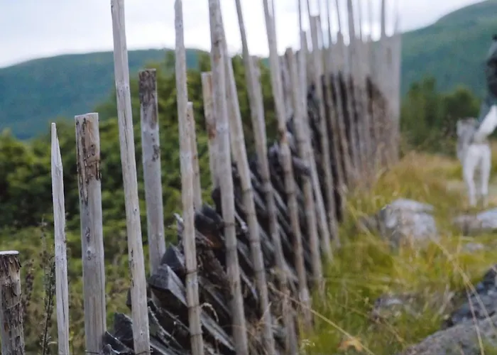 Отель Lemonsjo Fjellstue Og Hyttegrend *