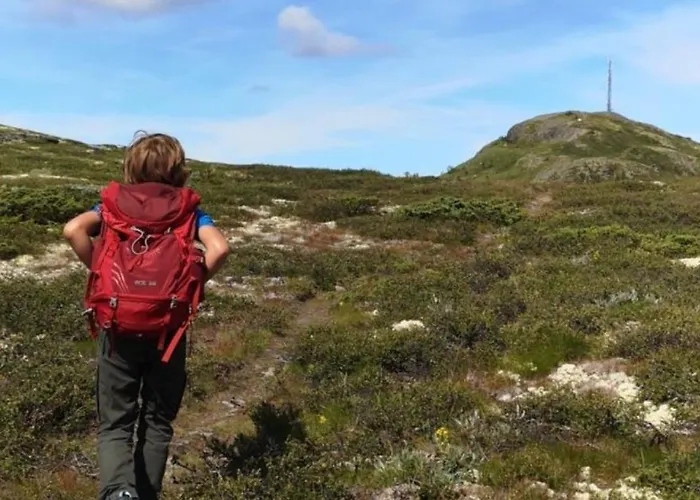 Lemonsjo Fjellstue Og Hyttegrend Hotel Randsverk