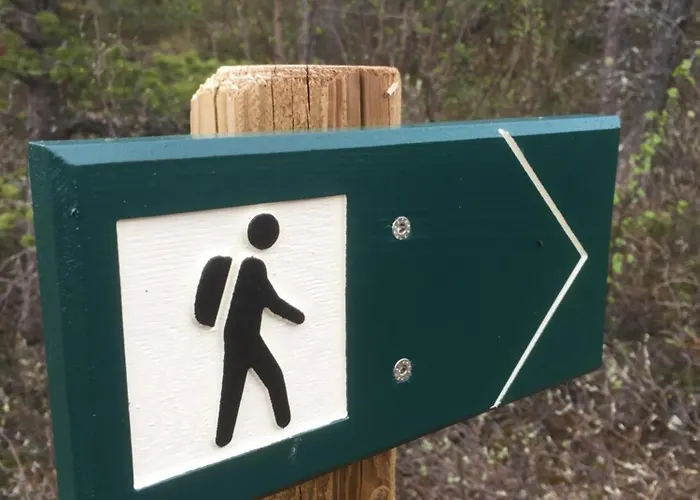 Отель Lemonsjo Fjellstue Og Hyttegrend Randsverk