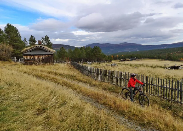Отель Lemonsjo Fjellstue Og Hyttegrend *