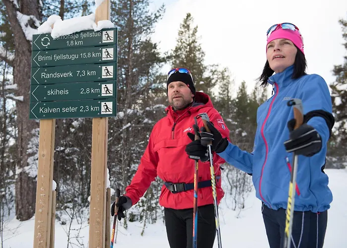 Lemonsjo Fjellstue Og Hyttegrend Randsverk