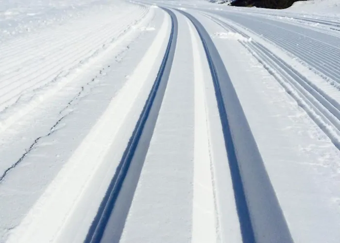 Lemonsjo Fjellstue Og Hyttegrend * Randsverk