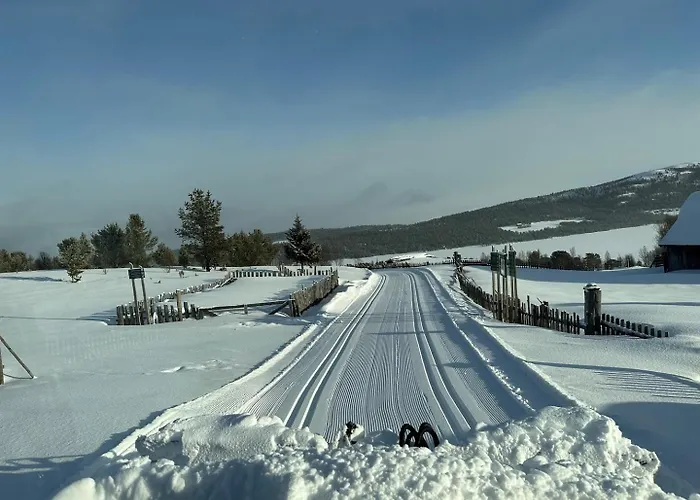 Lemonsjo Fjellstue Og Hyttegrend Hotel *