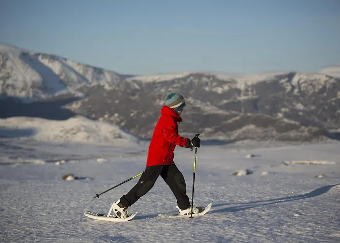 Lemonsjo Fjellstue Og Hyttegrend *