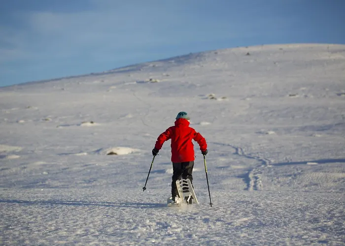 Lemonsjo Fjellstue Og Hyttegrend