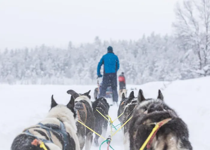 Lemonsjo Fjellstue Og Hyttegrend Отель