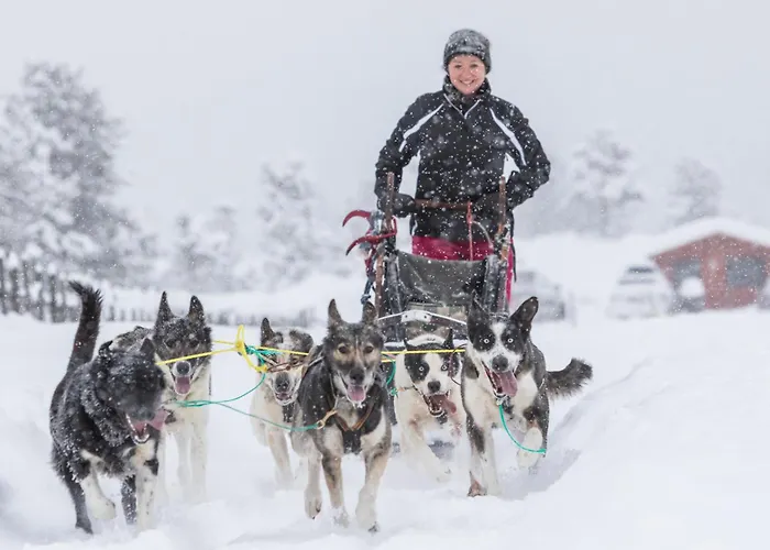 Отель Lemonsjo Fjellstue Og Hyttegrend