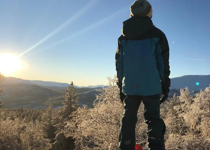 Lemonsjo Fjellstue Og Hyttegrend Hotel *