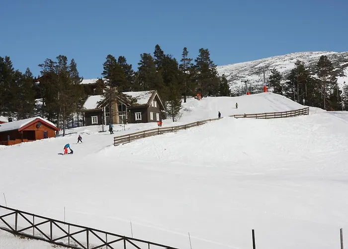 Lemonsjo Fjellstue Og Hyttegrend Отель Randsverk