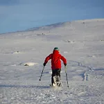 Lemonsjo Fjellstue Og Hyttegrend