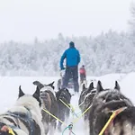 Lemonsjo Fjellstue Og Hyttegrend Hotel